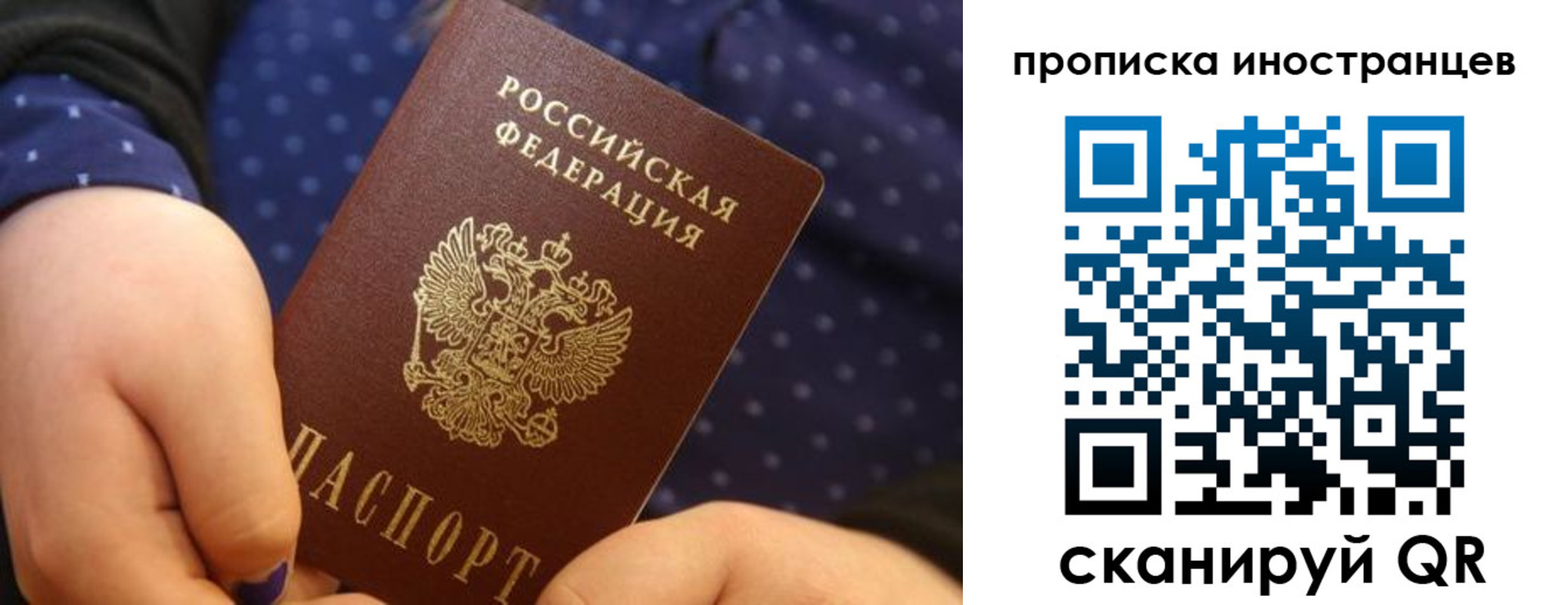 прописка законно в Бердске